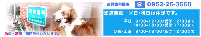 ����̎��Ȉ�@�A�������Ȃ̂��A����